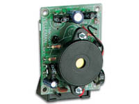 ELECTRONIC CRICKET KIT